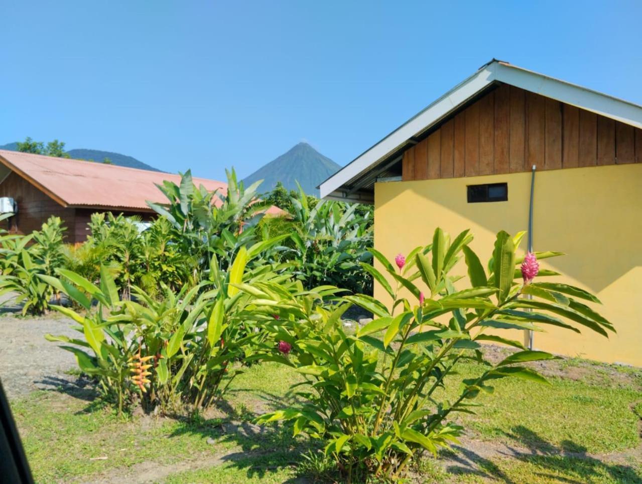 Cabana Rural Pura Vida La Fortuna 外观 照片